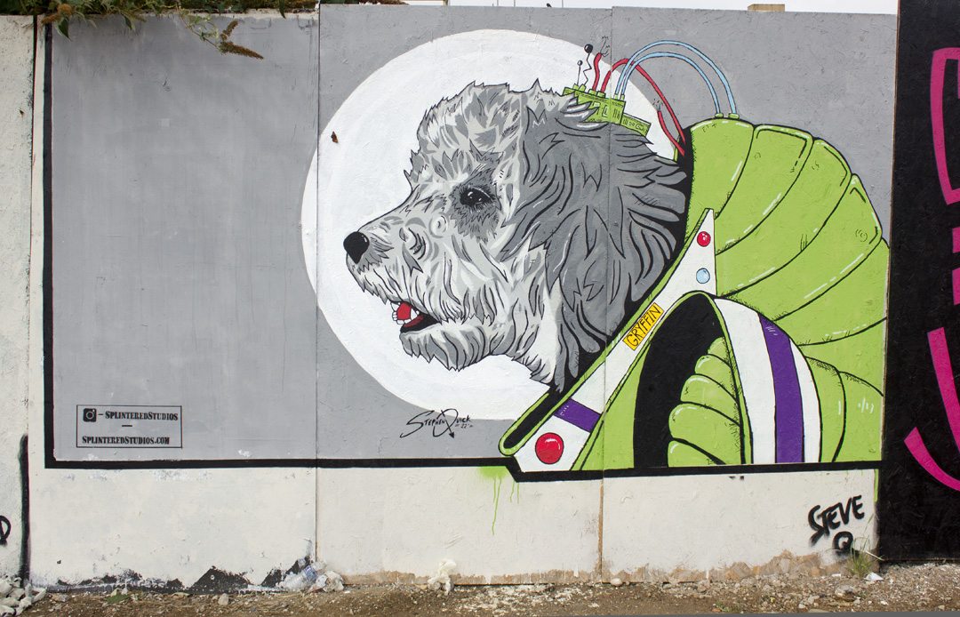 Space Dog Cheltenham Paint Festival 