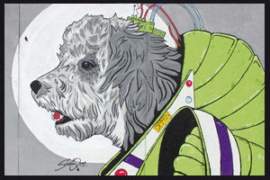 Space Dog Mural Cheltenham