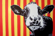 Pop Art Cow
