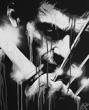 The Wolverine Painting